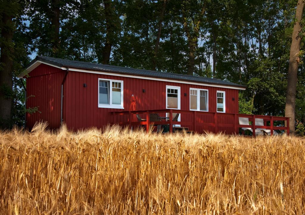 Ferienwohnung Erlebnishof Katthusen Otterndorf Exterior foto